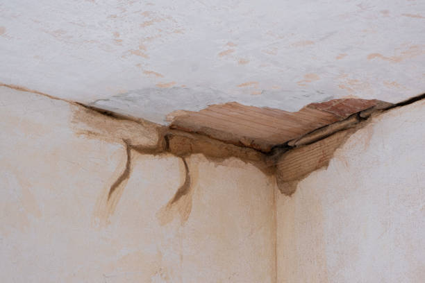 Best 24-hour water damage restoration  in Fruita, CO