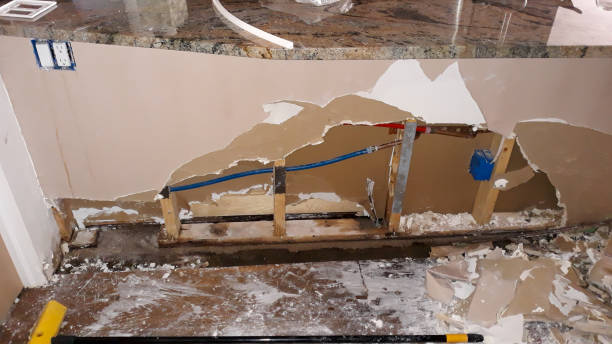 Best Emergency water damage restoration  in Fruita, CO