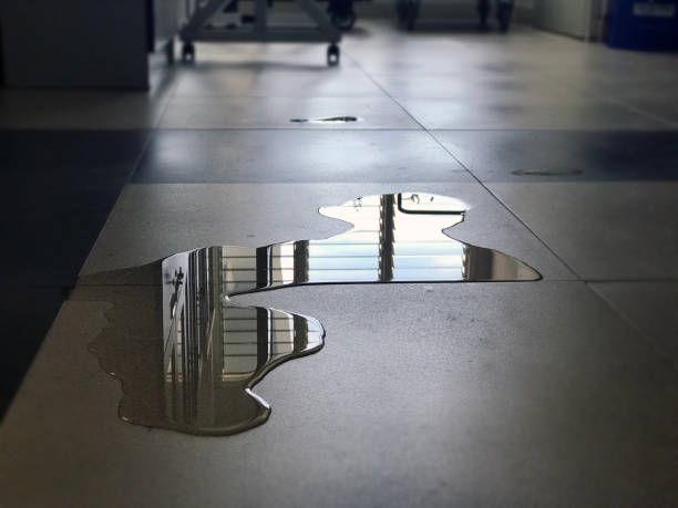 Best Water damage contractors near me  in Fruita, CO