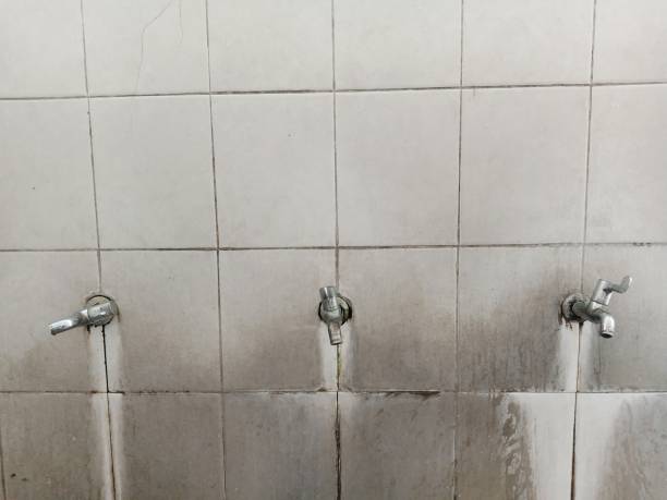 Professional Water damage restoration in CO