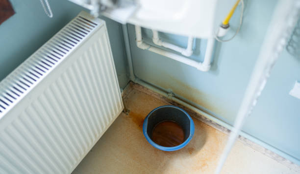 Best Mold removal after water damage  in Fruita, CO