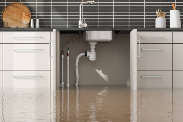 Best Flood restoration services  in Fruita, CO