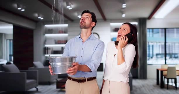 Best Ceiling water damage repair  in Fruita, CO