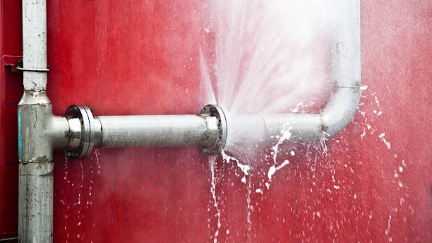 Best Basement water damage restoration  in Fruita, CO